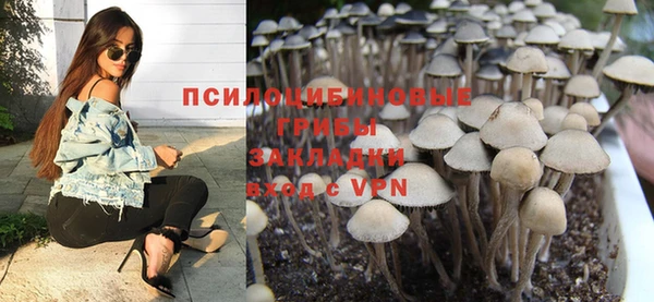 винт Баксан