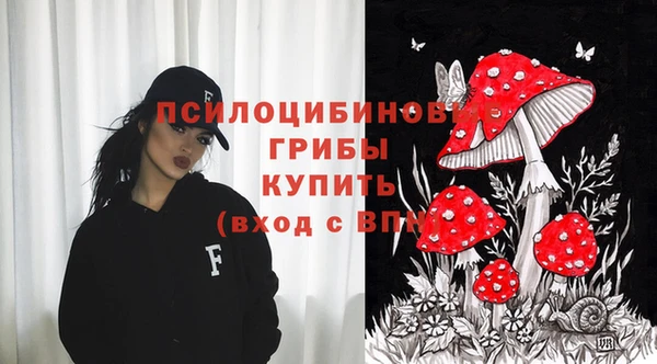 винт Баксан