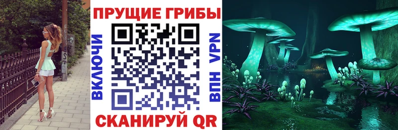 MEGA   Богородицк  Галлюциногенные грибы Cubensis 